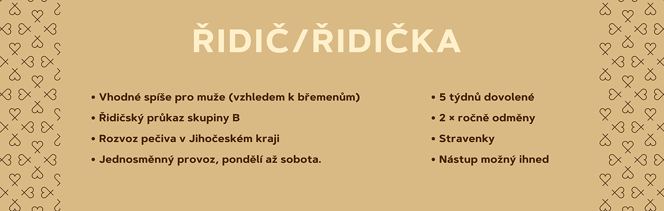 Web-SRNIN-Kariera-inzerat-RIDIC_1336×426px